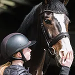 jesshickeydressage's profile picture